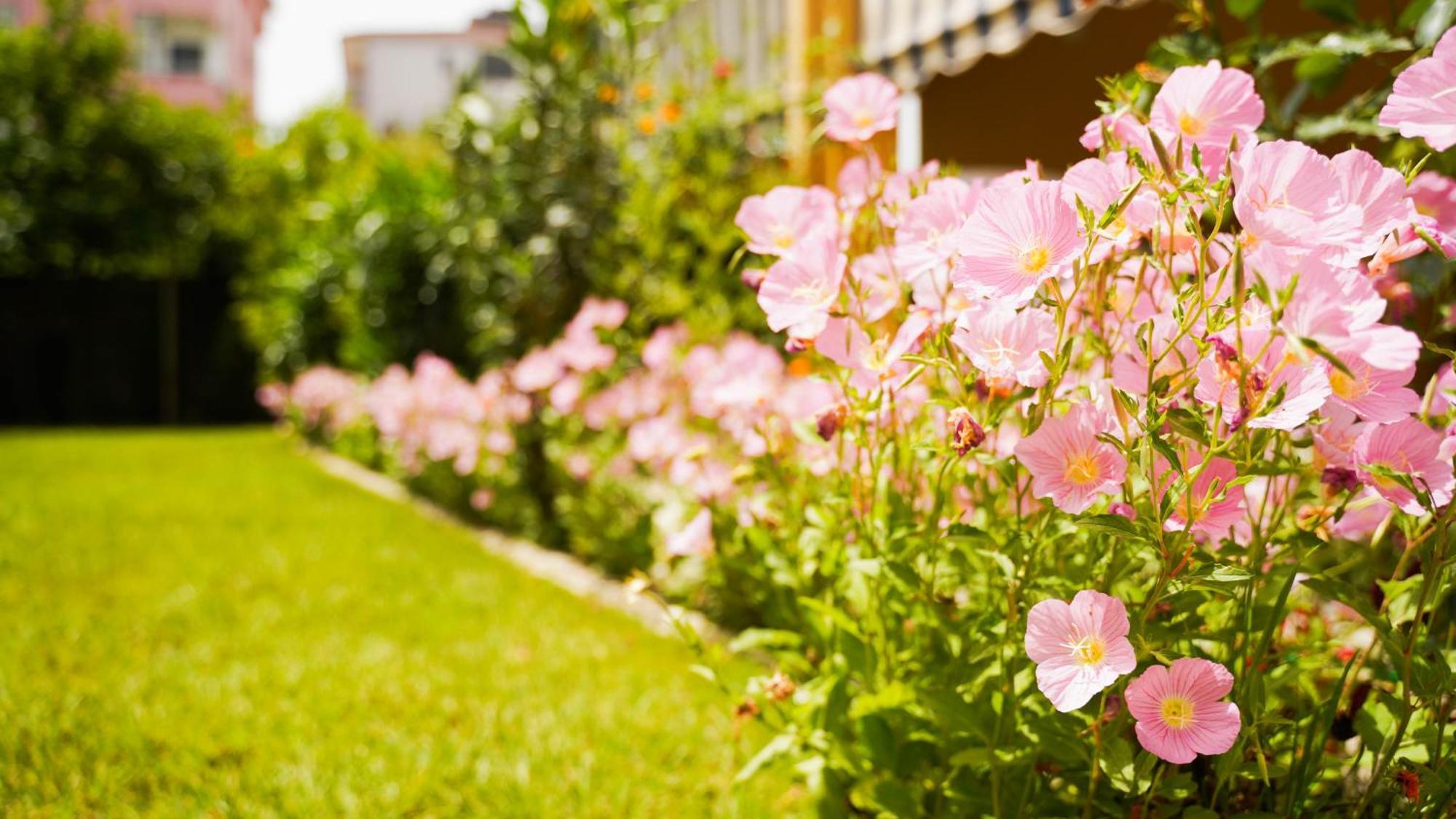 Vila Aliaj Cozzy For 2 Apartament *